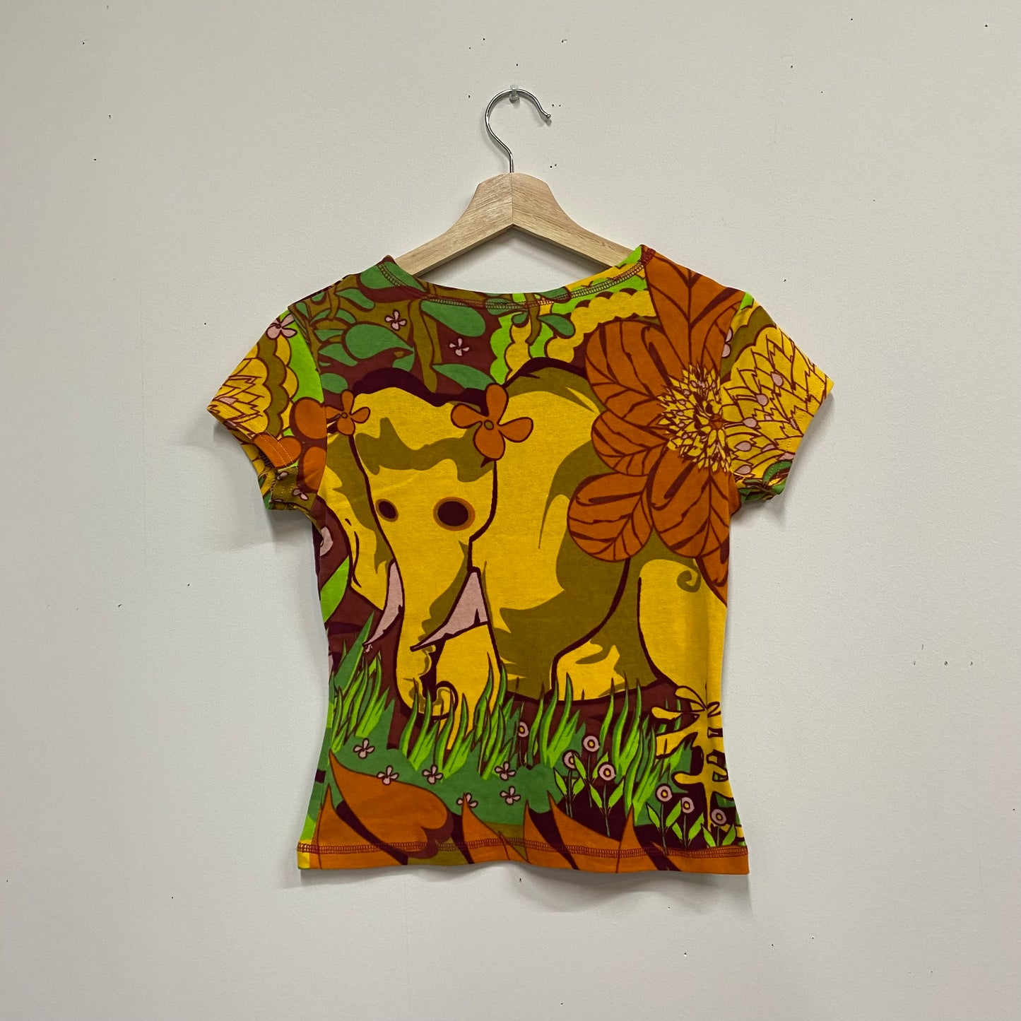 Deadstock late 90s/00s hayes graphic top