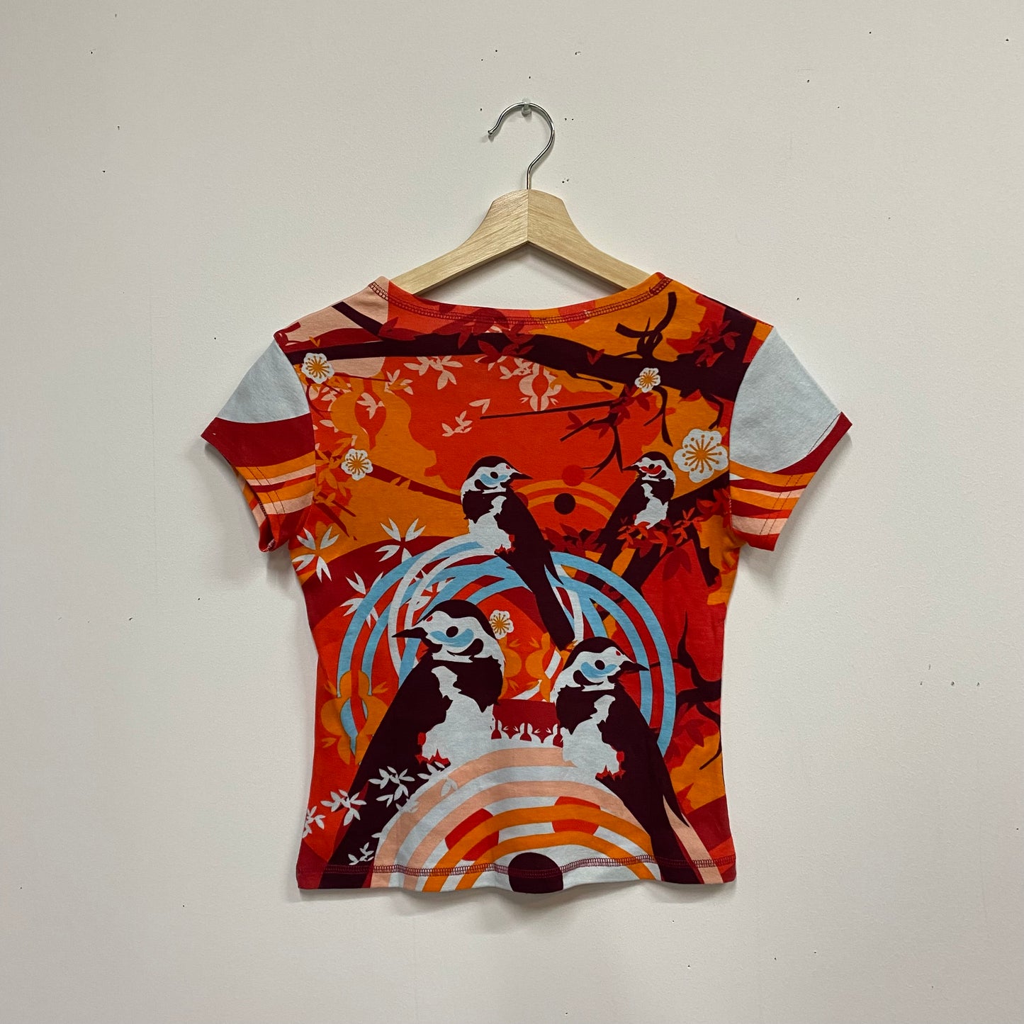Deadstock late 90s/00s hayes graphic top
