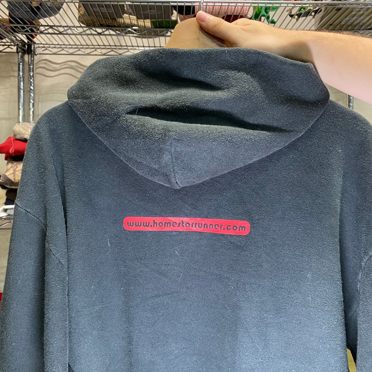 Early 2000s homestarrunner.com hoodie