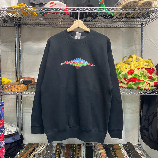 Late 90s SCHWINN bike sweatshirt